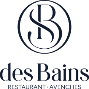DesBains_logo_bleu